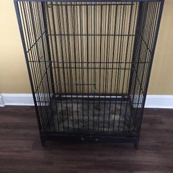 Bird Cage $125 