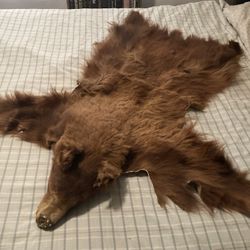 Bear Rug