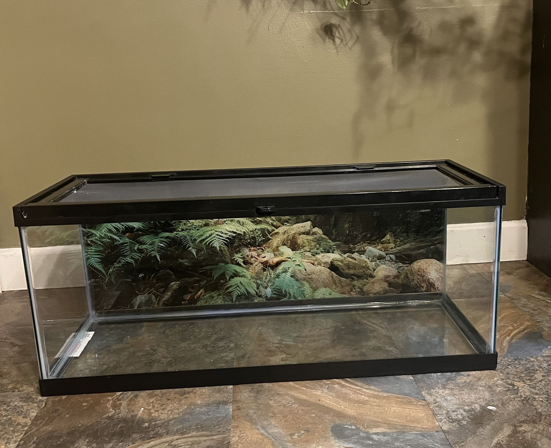 20 Gallon Long Terrarium (Bundle)