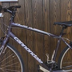 Cannondale Quick 5 Size L Beautiful Bike