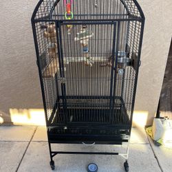 Large Bird Cage