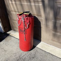Everlast Punching Bag With Bag Gloves 