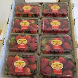 Fresh Strawberries 