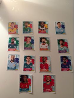 ⚽ Panini FIFA World Cup Duplicates