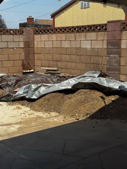 FREE Dirt