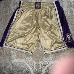 Rare Kobe Bryant/Black Mamba HOF Shorts