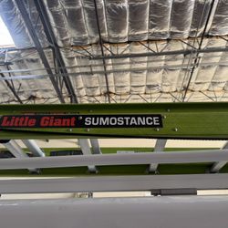 Little Giant 28ft Ladder 