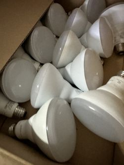 Feit LED bulbs, 30 Count, Great Condition!