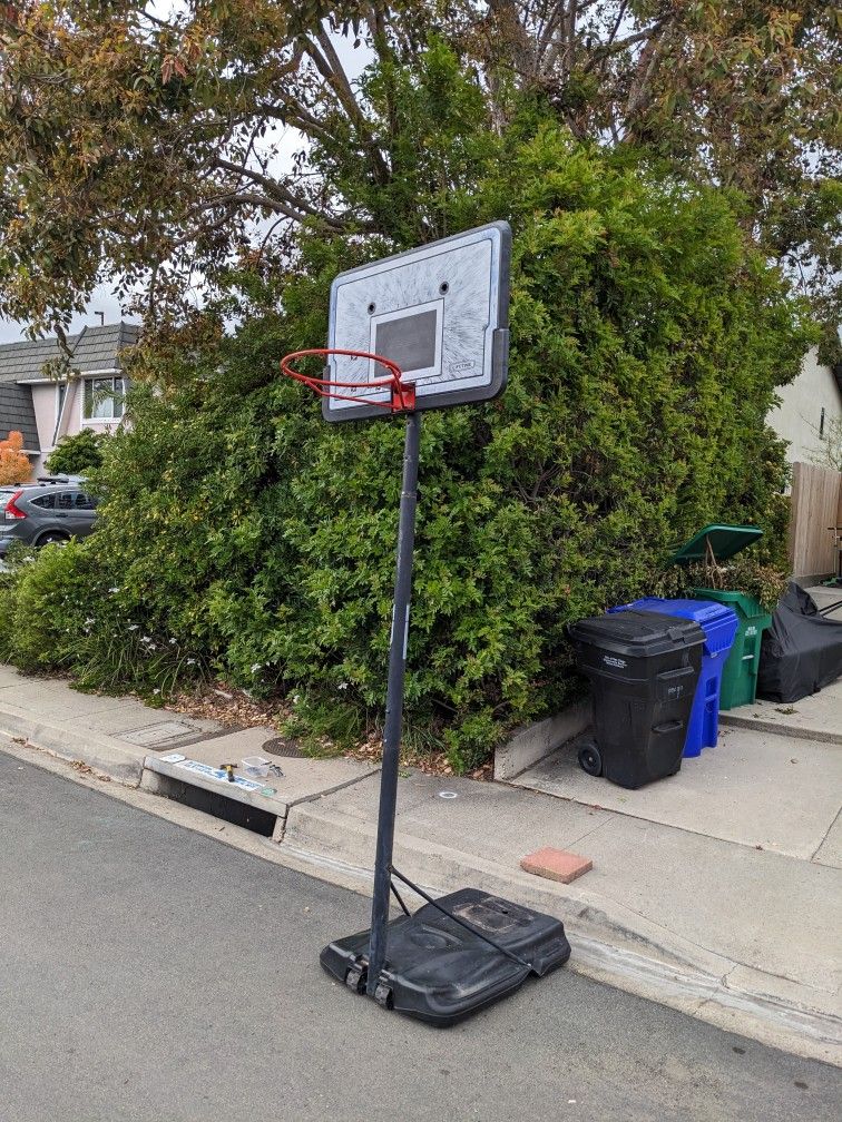 Lifetime Adjustable Basketball Hoop