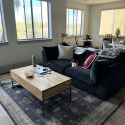 Living Spaces Nate and Jeremiah Couch