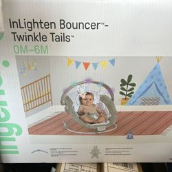 Brand New Baby Bouncer 