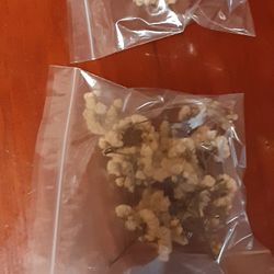 Bitter Leaf 🍃 Seed Flowers 