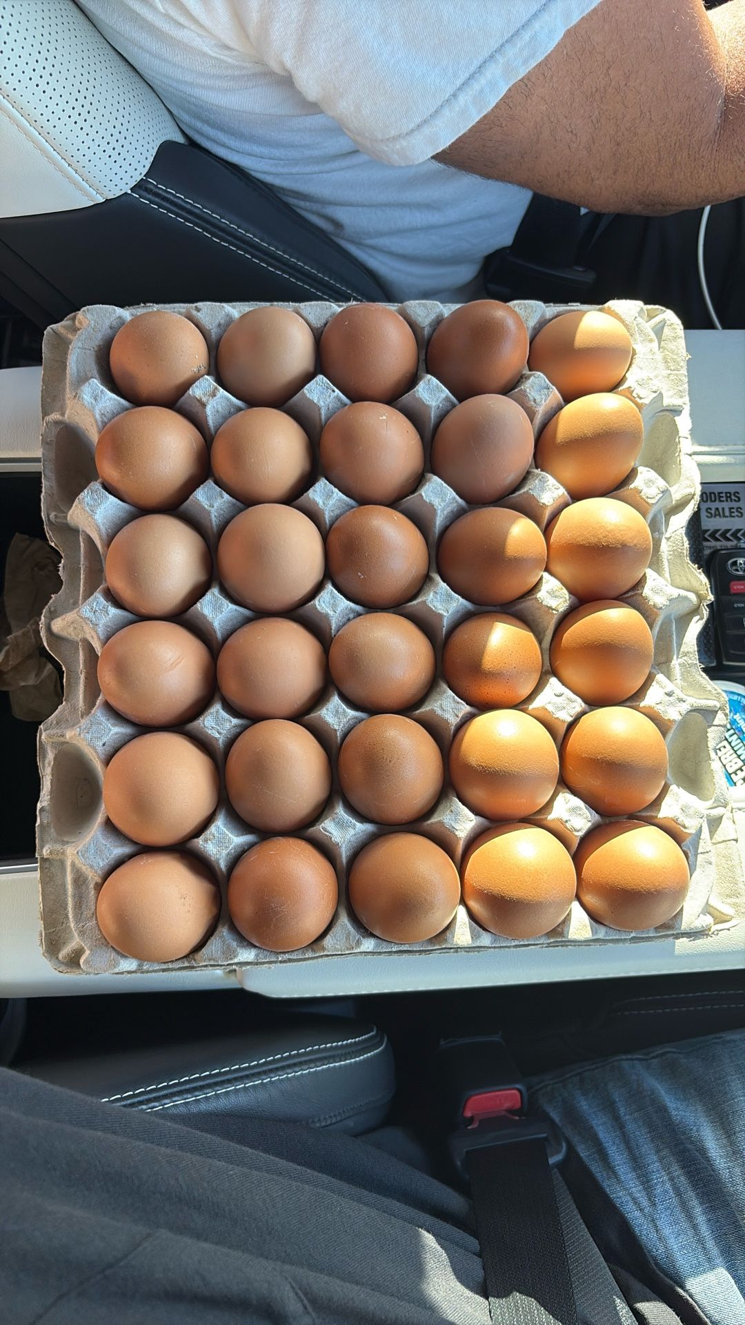 Free Range Large Brown Eggs