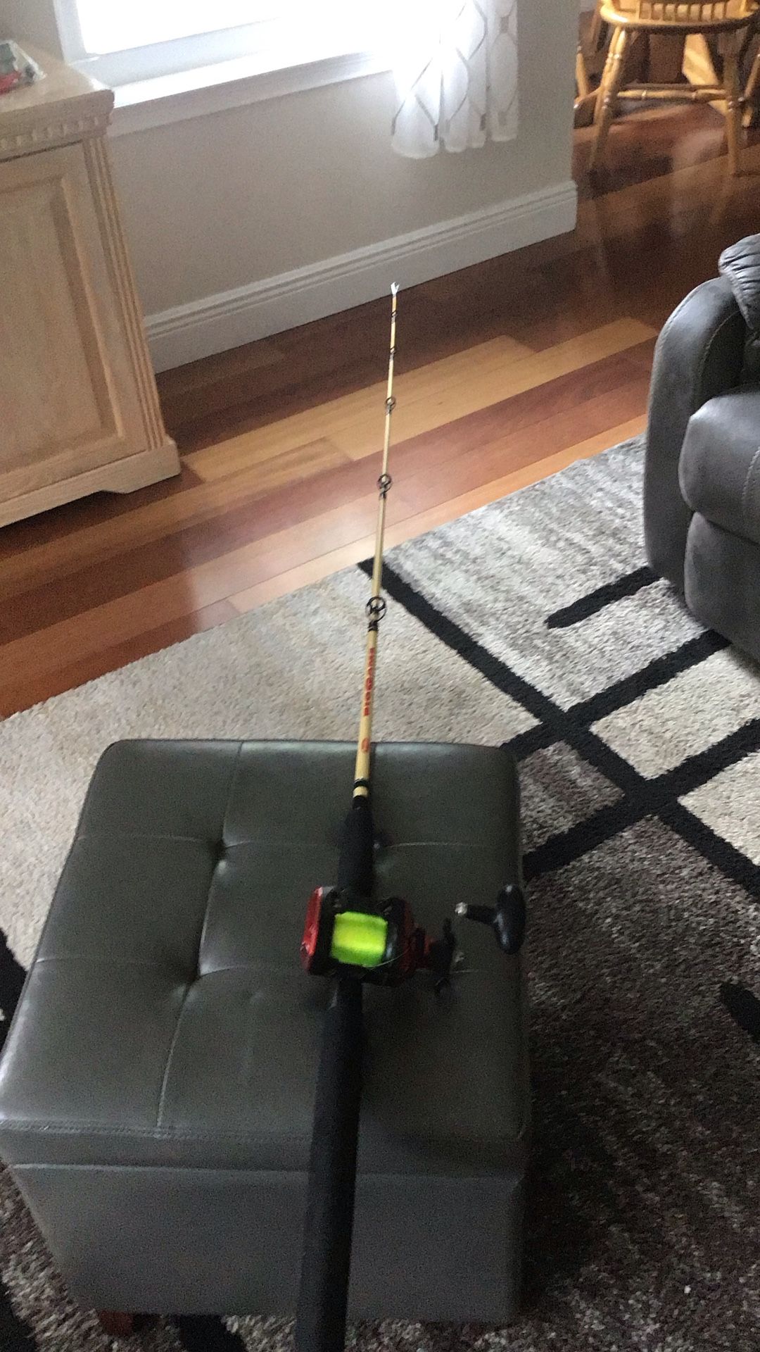 6 ft. 6 inch Berkeley Bigwater Rod,and Berkeley Level Line Reel.