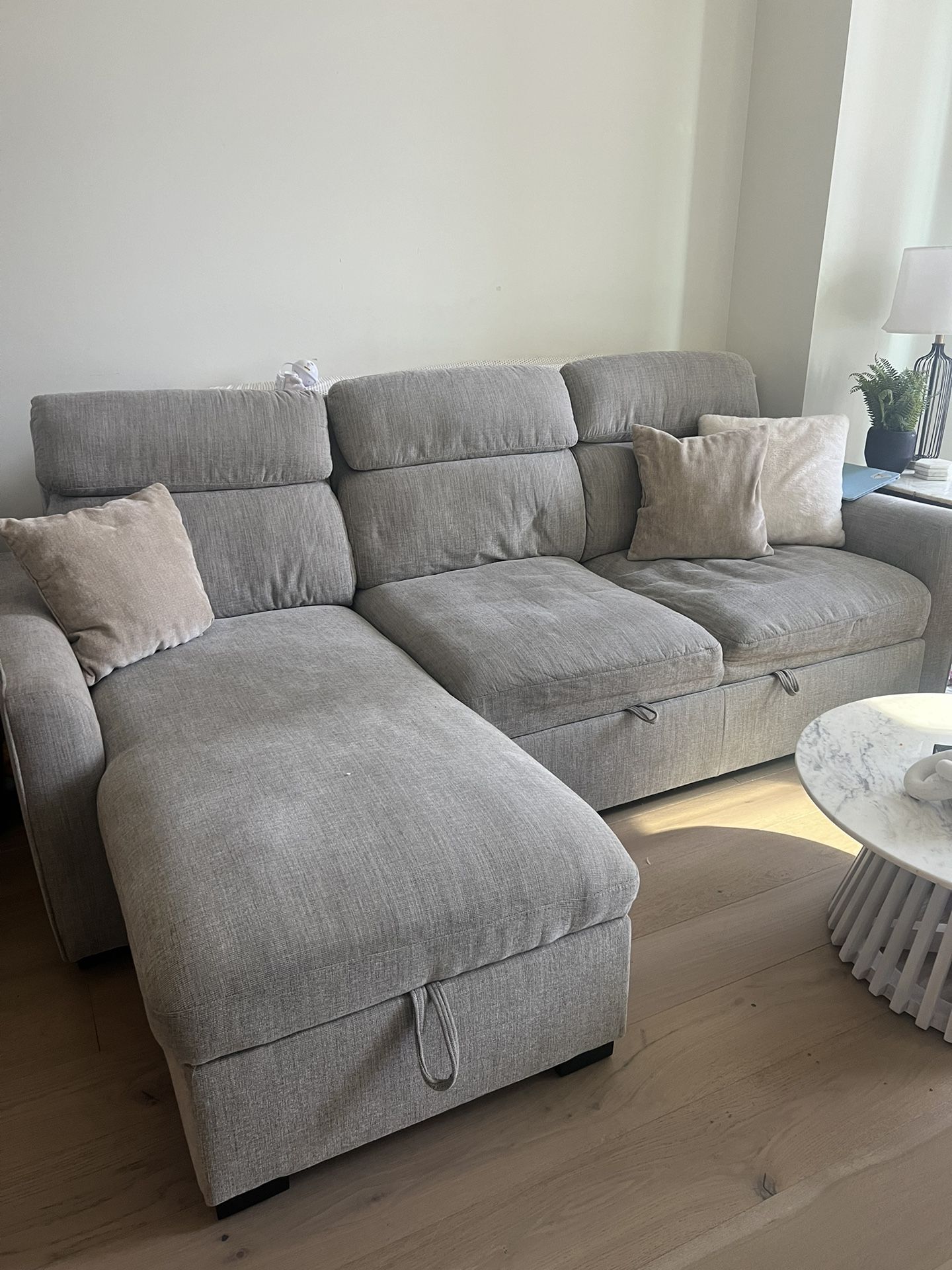 Sectional Pull Out Couch With Storage