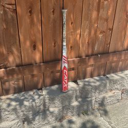 Cat X Composite USSSA bat