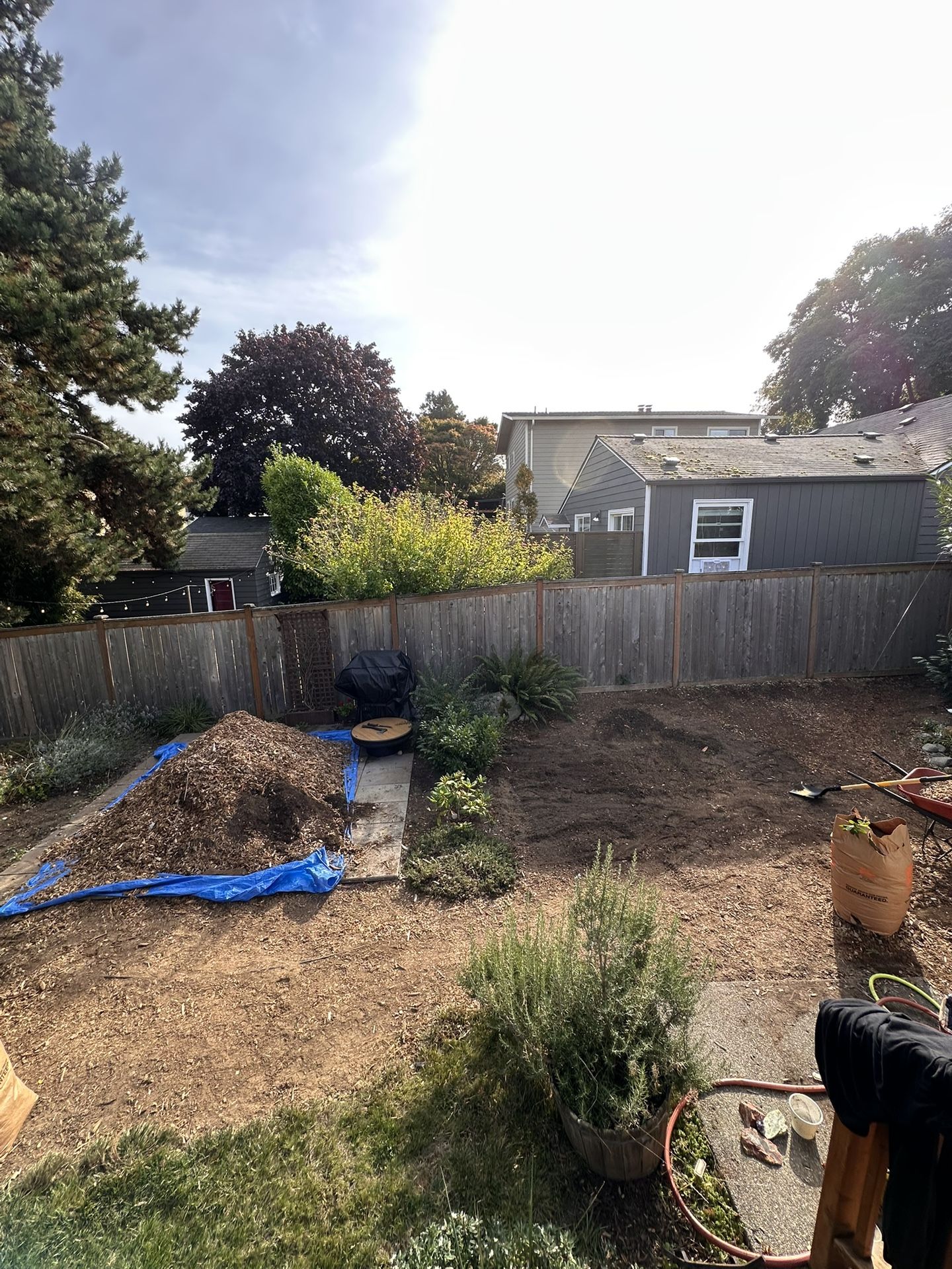 Free Wood Chips
