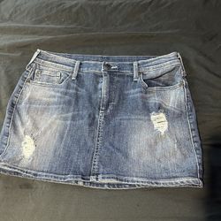 True Religion Skirt