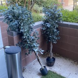 Fake tree ficus plants