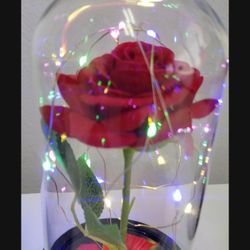 Can Be Used For Any Occasion Birthday Gift Graduation Gift