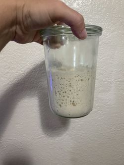 Organic Active Sourdough Starter $8