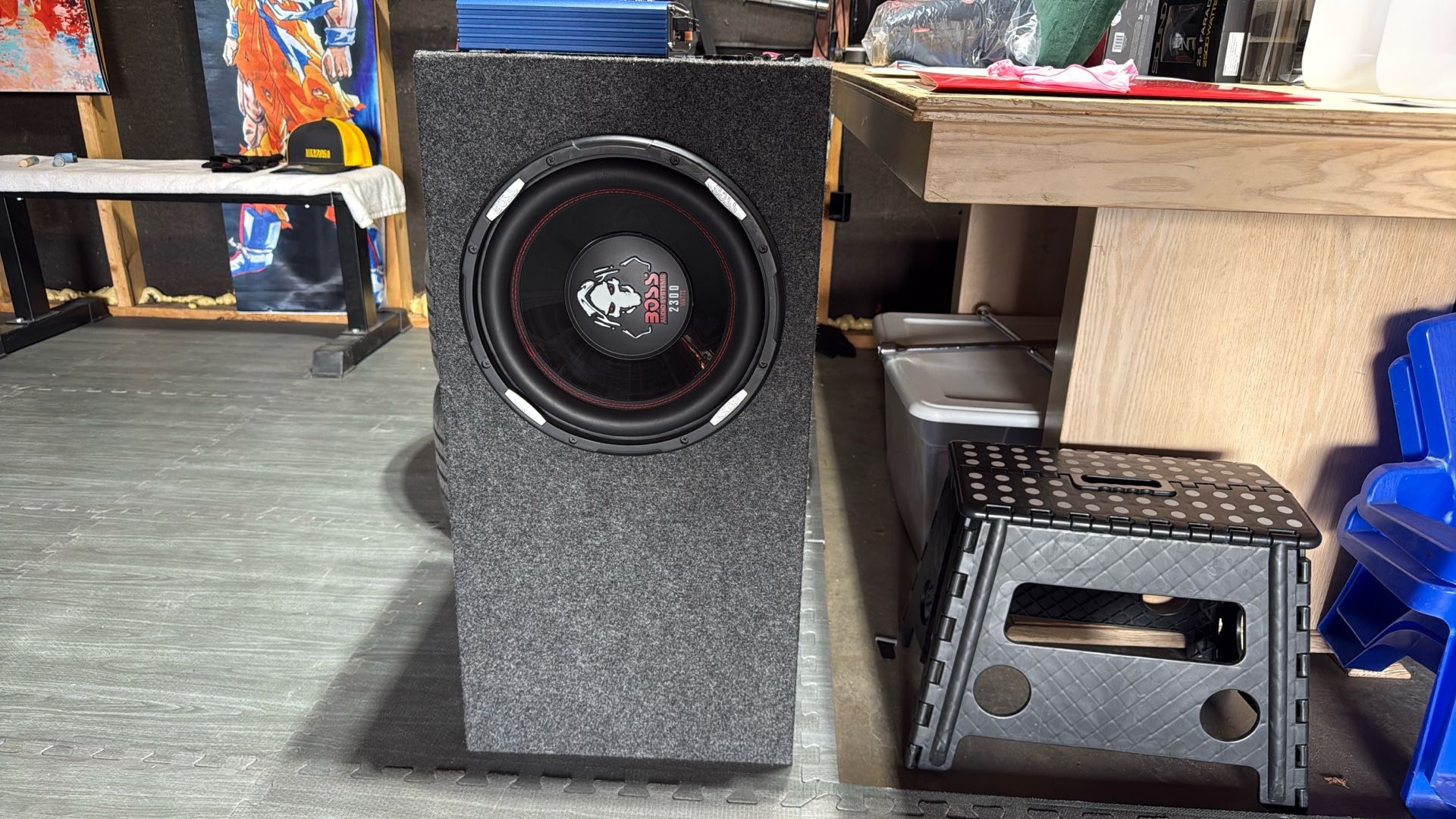 12 Inch Subwoofer And Amp