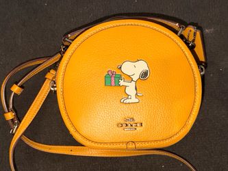 Coach X Peanuts Canteen Body Bag
