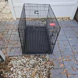 Dog Cage