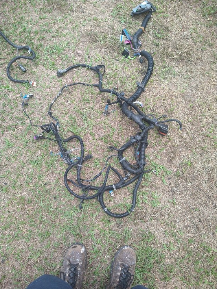 Engine Wiring Harness Year 2001 - 2006 Chevy Silverado 1500