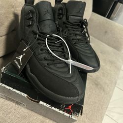 Jordan 12s 