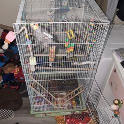 Bird Cage