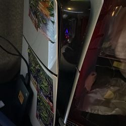 Ps5 digital or regular edition