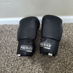 Rev Gear  Boxing Gloves