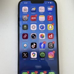 iPhone 13 Pro Max 1 Tb 