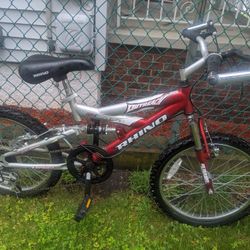 Kids 20" Mtn Bike 