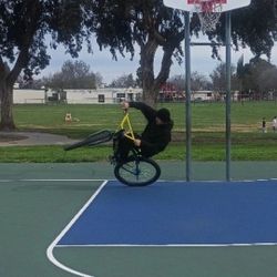 Big Flyer 29inch (TRADES ONLY)