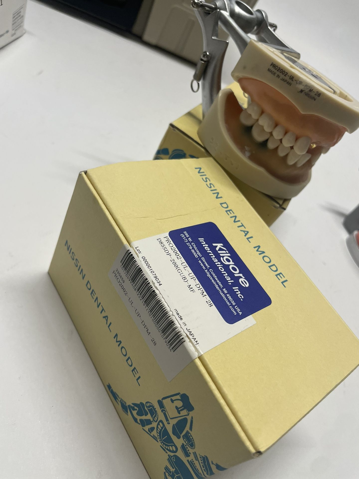 2 Kilgore D85SDP-200-GUB Typodont Nissin Dental Model 