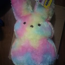 ~14 Inches Weighted Rainbow Peep BNWT
