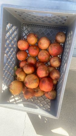 Pomegranates