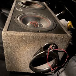 12” Subs In Ported Box