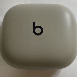 Grey Powerbeats Pro 2 Earphones 