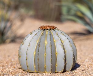 Golden Barrel Torch Sculpture by Desert Steel