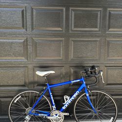 Tomiimaso Tiempo Road Bike 