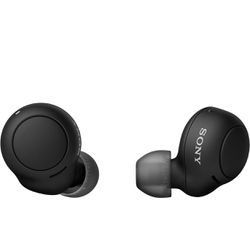 Sony WF-C500 Truly Wireless In-Ear Bluetooth Earbuds 
