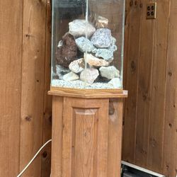 Cichlid Tank