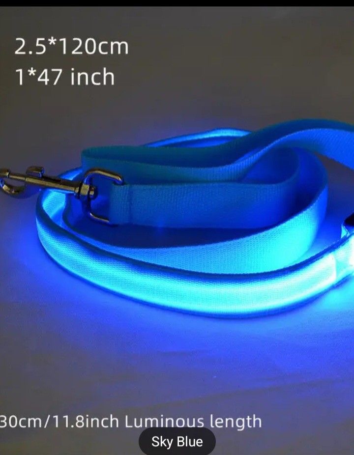Dog Collar