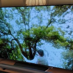 LG 65" OLED 4K HDR TV + wall Mount + Roku