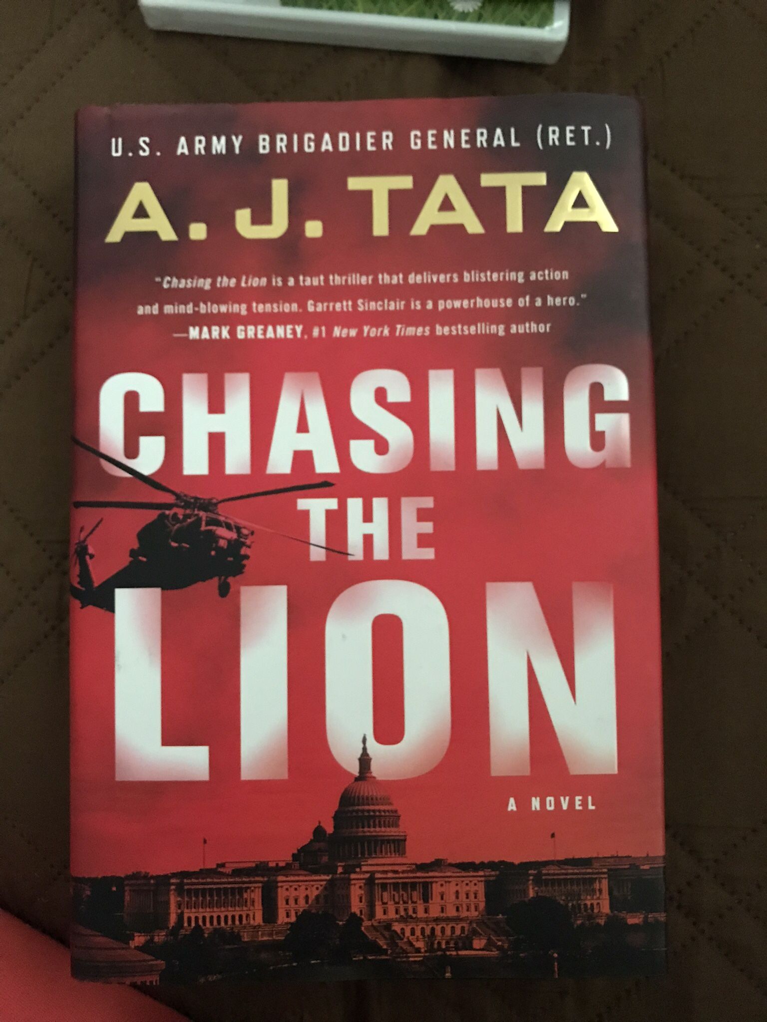 New Book Chasing The Lion