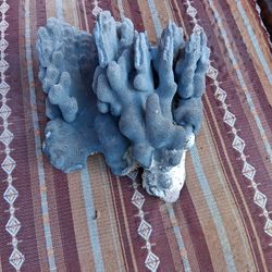 Nice Piece Of Blue Corral 
