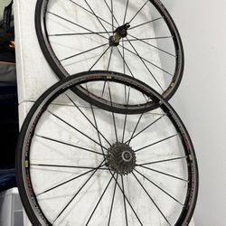 Ksyrium Elite Wheels